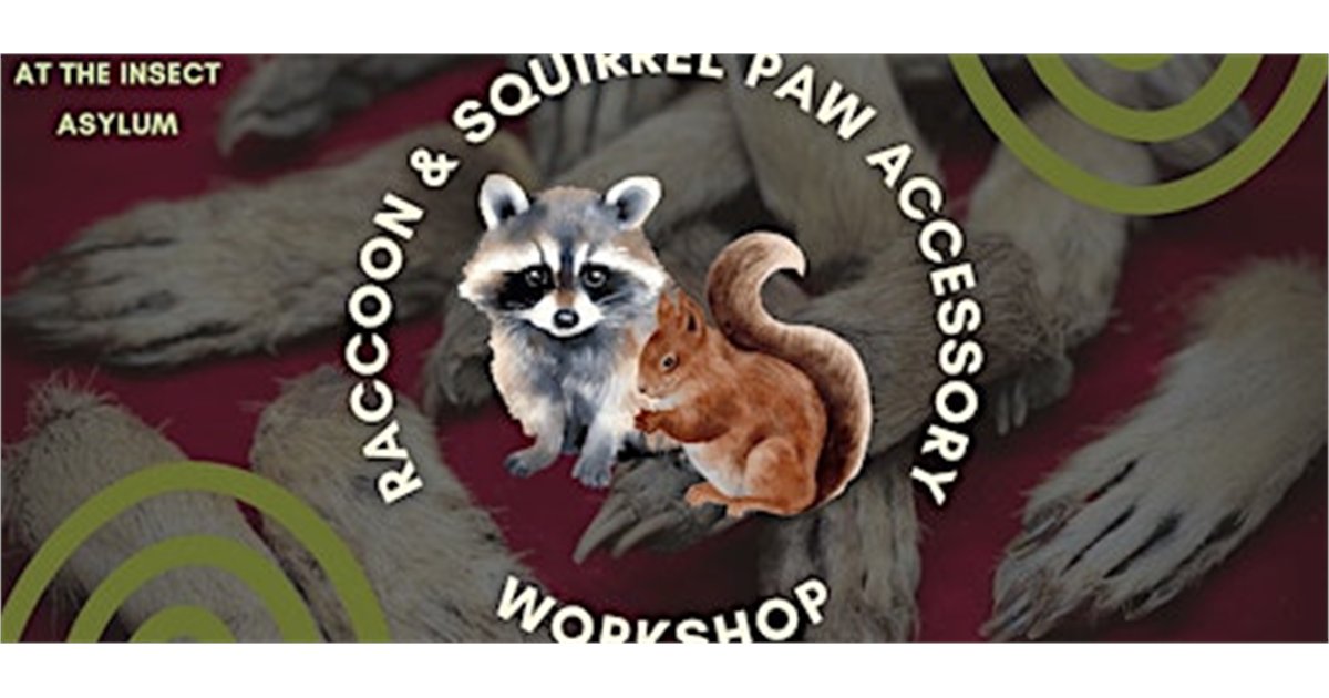 Squirrel & Raccoon Paw Accessory Making Workshop at The Insect Asylum, 2870 N Milwaukee Ave, chicago, IL 60618