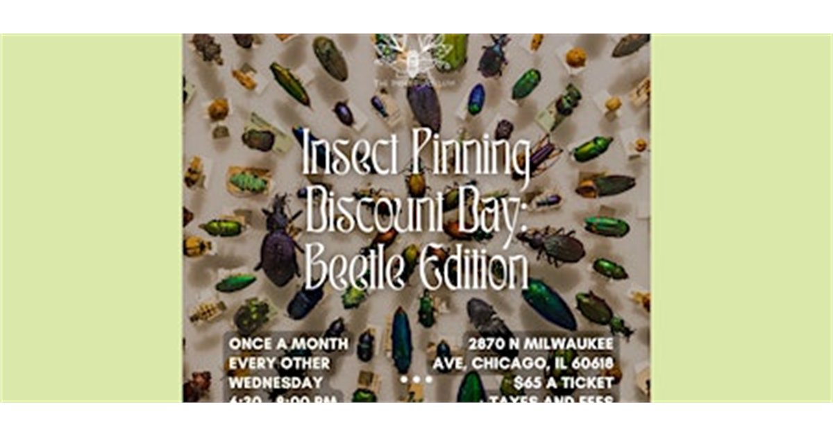 Insect Pinning Discount Day: Beetle Edition at The Insect Asylum, 2870 N Milwaukee Ave, chicago, IL 60618