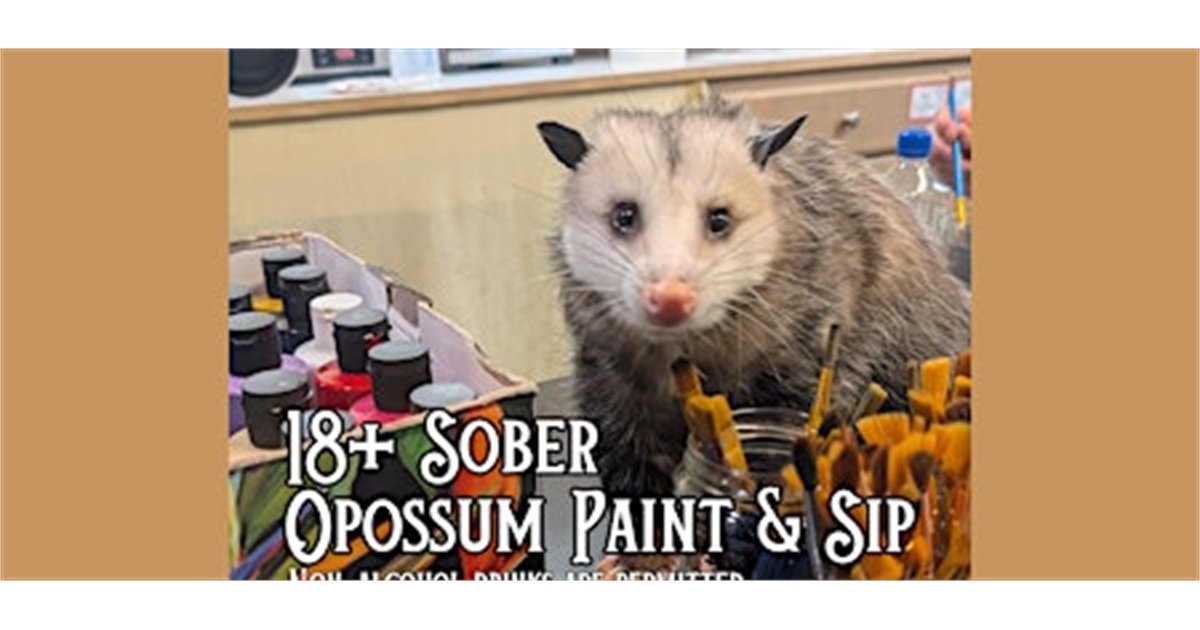 18+ Sober Opossum Paint & Sip at The Insect Asylum, 2870 N Milwaukee Ave, chicago, IL 60618