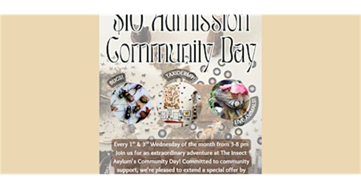 Community Day at The Insect Asylum: $10 Admission for Everyone at The Insect Asylum, 2870 N Milwaukee Ave, chicago, IL 60618