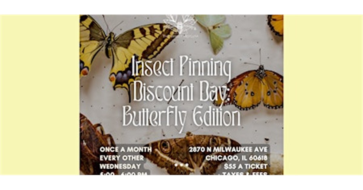 Insect Pinning Discount Day: Butterfly Edition at The Insect Asylum, 2870 N Milwaukee Ave, chicago, IL 60618