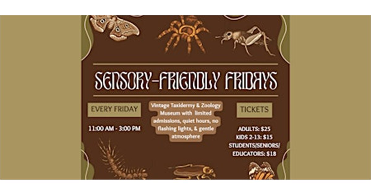 Sensory Friendly Friday at The Insect Asylum, 2870 N Milwaukee Ave, chicago, IL 60618