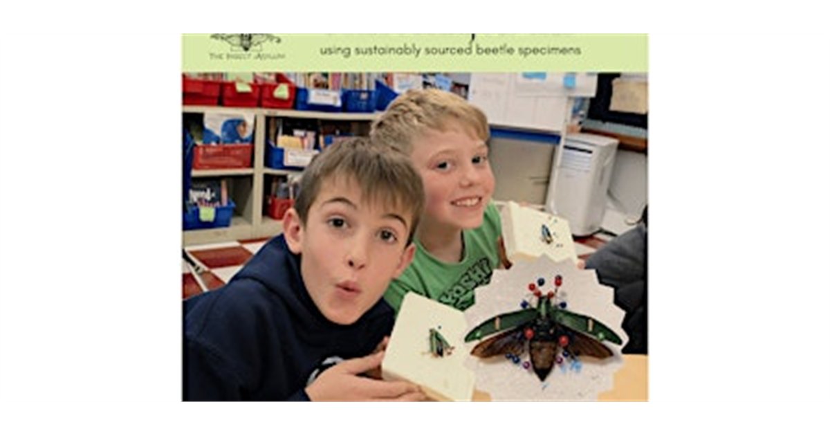 Beetle Pinning for Kids 5-17 at The Insect Asylum, 2870 N Milwaukee Ave, chicago, IL 60618
