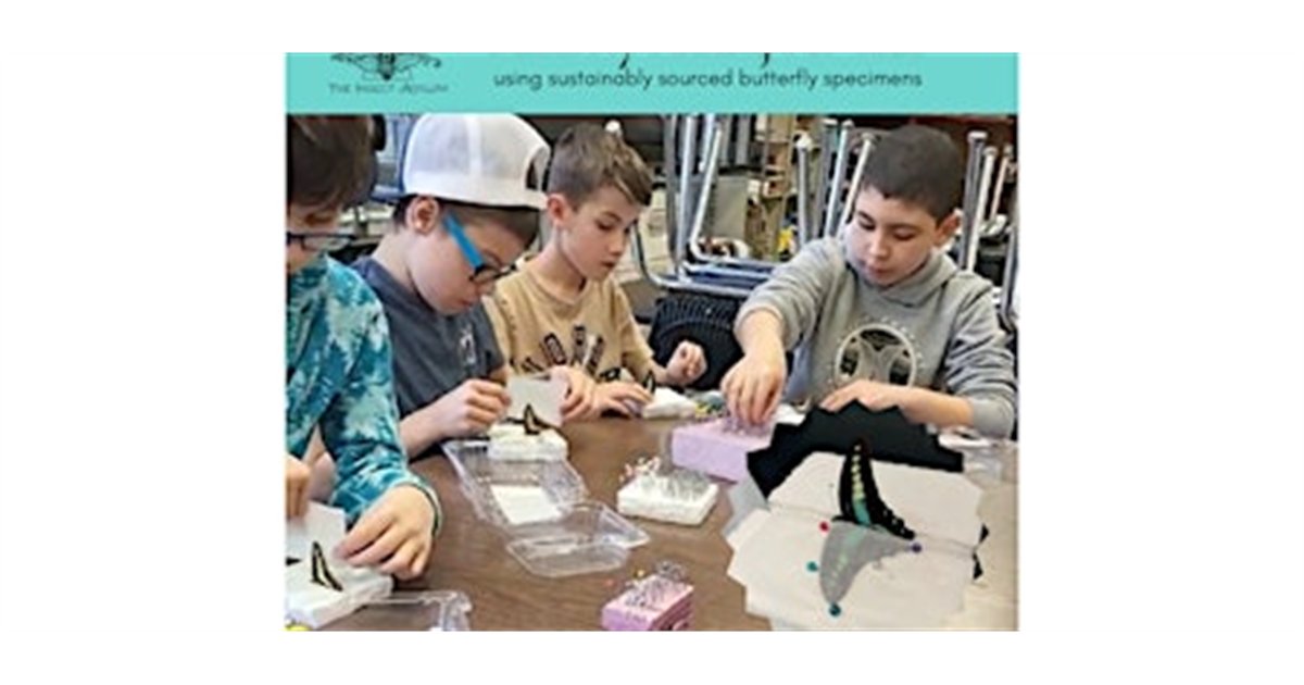 Butterfly Pinning for Kids ages 5-17 at The Insect Asylum, 2870 N Milwaukee Ave, chicago, IL 60618
