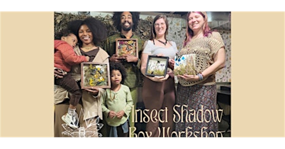 Insect Shadow Box Workshop at The Insect Asylum, 2870 N Milwaukee Ave, chicago, IL 60618