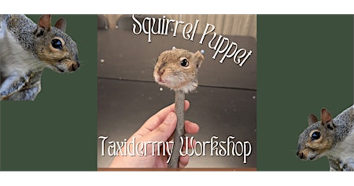 Squirrel Puppet Taxidermy Workshop at The Insect Asylum, 2870 N Milwaukee Ave, chicago, IL 60618